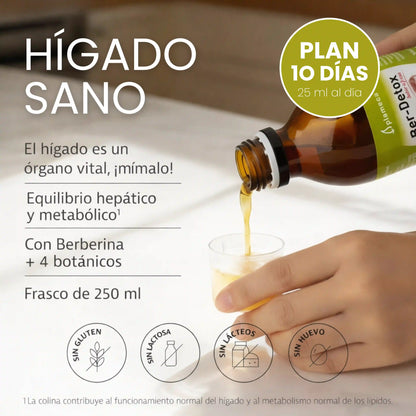 PLAMECA BER-DETOX